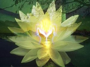 Ontpanser en diepte ontspanning massage sessie